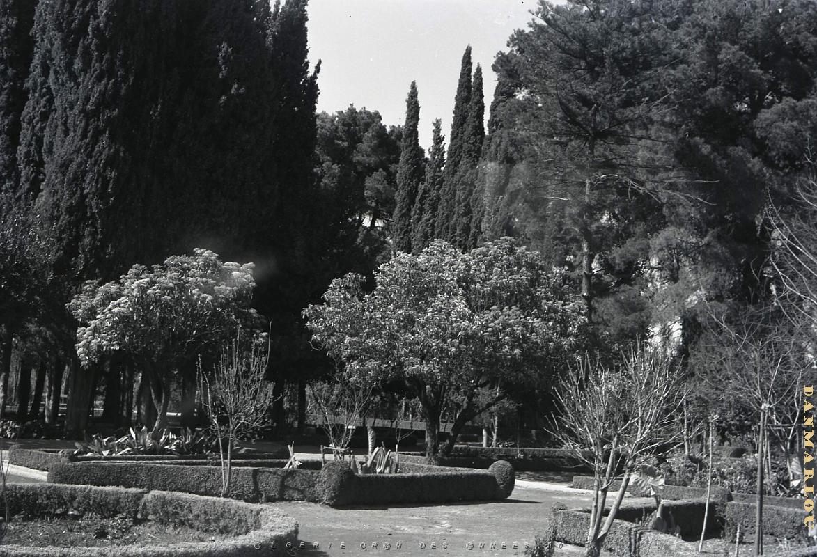 Tlemcen 502- Jardin public COLLECTION DES AMIS DE ND DE SANTA CRUZ.jpg